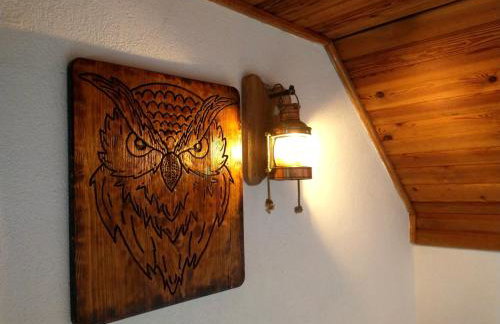 Wigierska Chatka - Foto 10