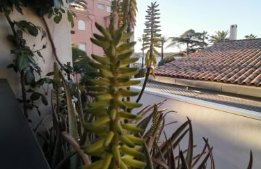 OFDL B T1 BANDOL - Briotine Foyalais - Foto 21