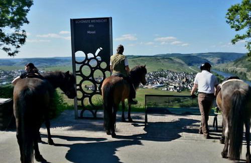 Premium Apartment Kahuna - Villa Rizas Hills - Foto 31