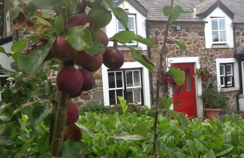 Berwick Hall Cottage - Foto 24