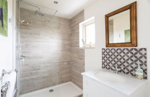 Snow Goose - Foto 33