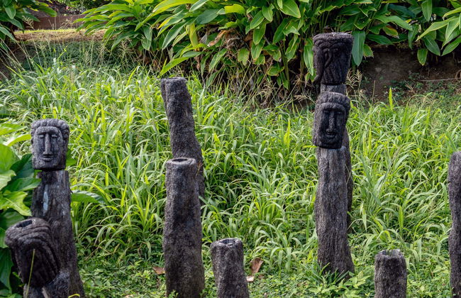 Tour da cultura kalinago para cruzeiros - Foto 2