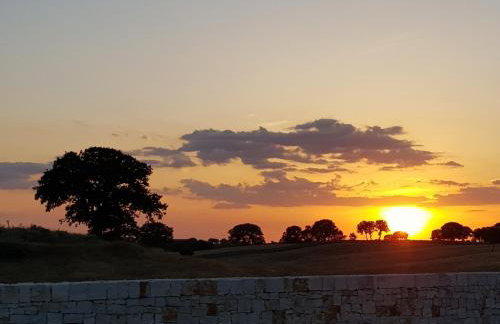 Masseria Santolomuto - Foto 10