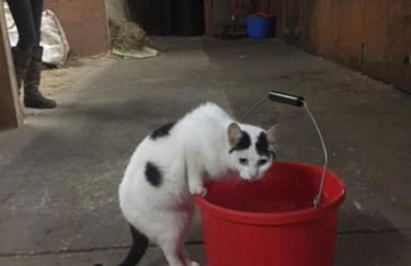 Holywell Grange Farm - Foto 15