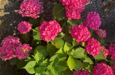 Charmante maison en pierre, avec terrasse et jardin privé - Photo 27