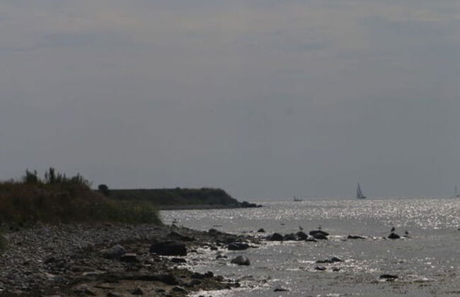 Holiday Home Lilly Comfortable Vacation Home - Foto 31