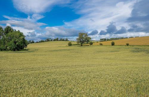 Turnip Cottage - Foto 29