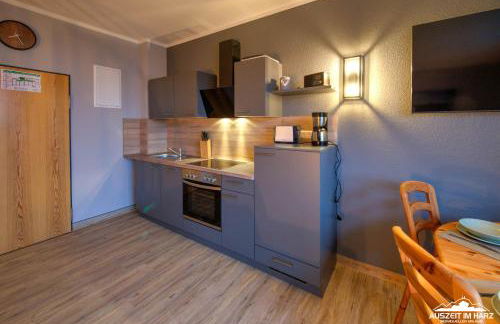 Auszeit-im-Harz Haus 5 Wohnung 34 - Foto 9