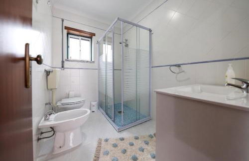 Casas com Amoras in Serra da Pescaria - Foto 17