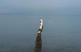 Finnhütte Amelie - Foto 12