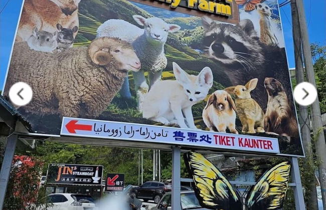 The Retreat mountain view at Cameron - Photo 59