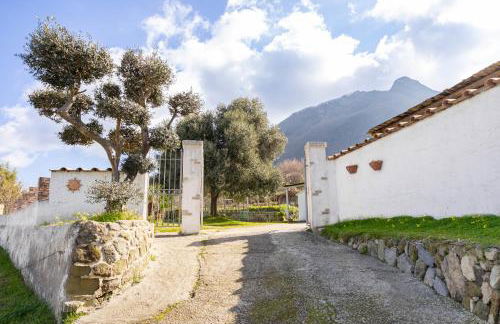 Elysium House - Slow Garden Retreat in Ischia - Foto 29