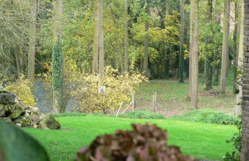 Gite Perle de l'Ecaillon - Foto 12