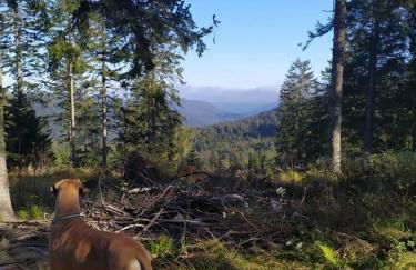 Ferienwohnung GABI - Foto 34