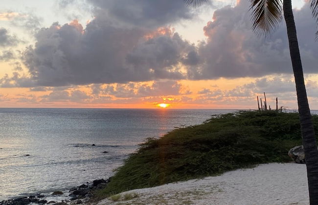 Boca Catalina 4 4 Private Pool Incredible Location - Foto 53