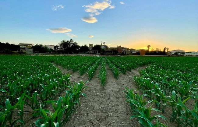 Can Pujol Turisme Rural - Foto 44