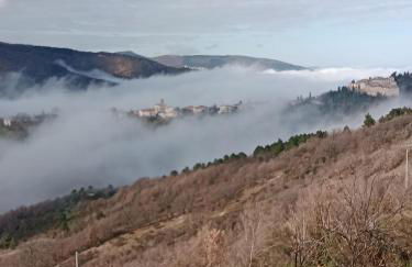 Agriturismo Becerca Vegan - Foto 6