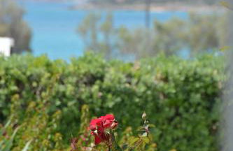 ThalaSEA - village Antiparos - Foto 37