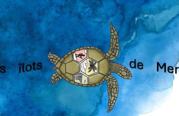 La Désirade - Ilots de Merville - Foto 21