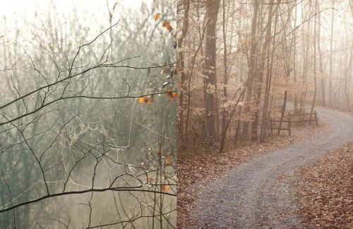 Charming Glamping Rental with Fireplace near Great Smoky Mountains National Park - Foto 21