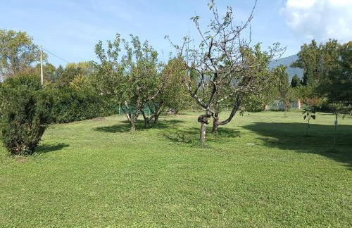 Appartamento Happy Garden - Foto 8