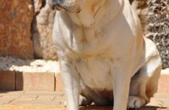 Alojamiento Ada - Foto 4