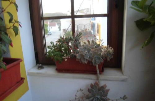 Casa Riqueta Silva - Foto 10