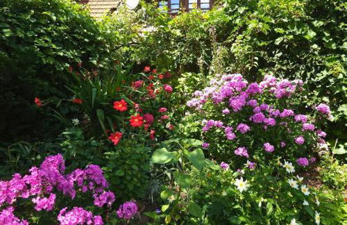 Schweizerblick - Denkmalgeschützes Haus in ruhiger Lage - großer Garten und mit Charme eingerichtet - ideal für Familien, Paare & Hund - Foto 42