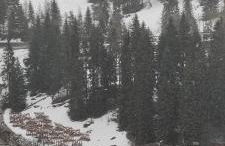 condominio Brembo a casa di Barbara - Photo 10