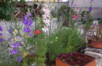 Dein Zuhause in der Ferne im grünen Kreativhof "Der Gute Ton" mit kostenlosem Fahrradverleih - Foto 41