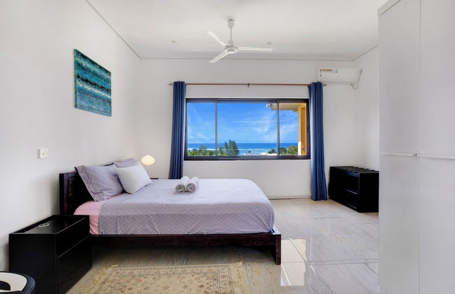 Dar and Douce - Photo 2