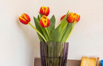 Bilocale affrescato con box privato & spiaggia a 150m - Foto 21