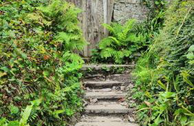 18 Bucklands - Cosy 5-Star Chalet - Starlink Wi-Fi - Coastal Woodland - Foto 20