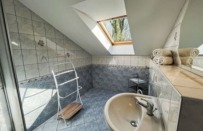 Zaunkönig - Foto 18