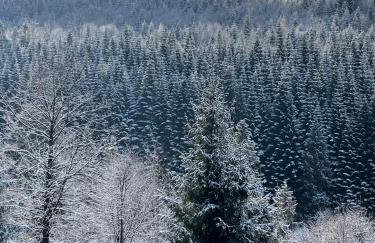 Widokownia Brenna - Foto 59