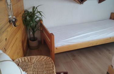 Appartement 8 couchages 45 m2 tout confort à la foux d'allos - Foto 7