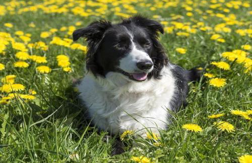 3 Bed in Blairgowrie oc-90111 - Photo 16