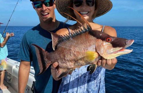 Sailfish Suites 2 - pet friendly & waterfront - Photo 18