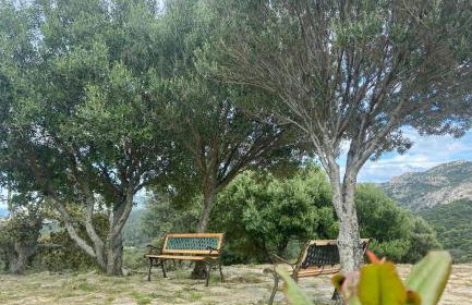 Tenuta Paltusa - Foto 13