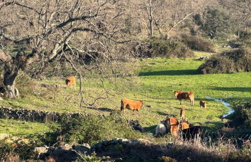 La Casona De Jaraiz - Foto 46