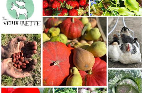 Gîte à la Ferme de Verdurette Cordes-sur-Ciel - Foto 23