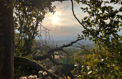 Haus Blumenglück - Foto 33