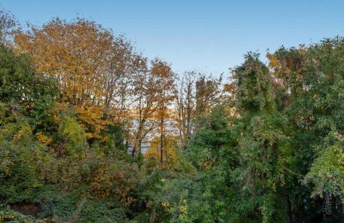 Westlake Nest Minutes to DT Quiet & Renovated - Foto 21