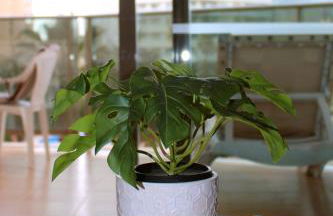 Apartment 2B - Calpe Esmeralda - Pool & Beach - Photo 19