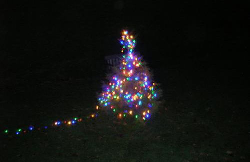 Bevan House with Hot Tub in Mid-Wales - Photo 19