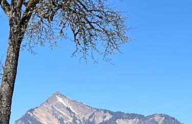 Chalet, vue sur la vallée, Domaine skiable Grand Massif - Foto 8