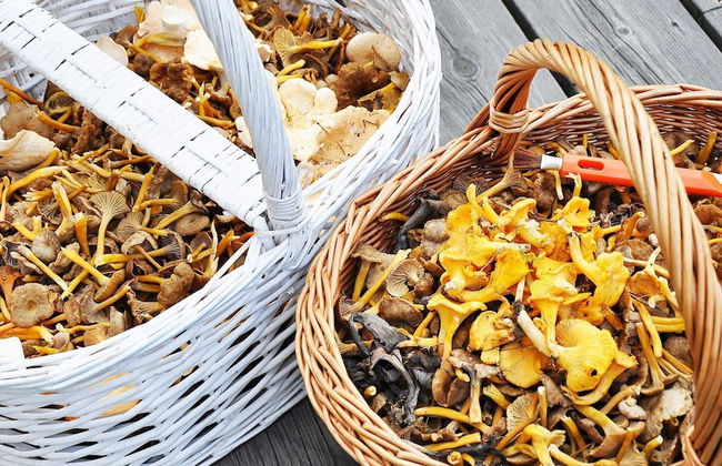 4 Star Holiday Home in Jorlanda-by Traum - Foto 18