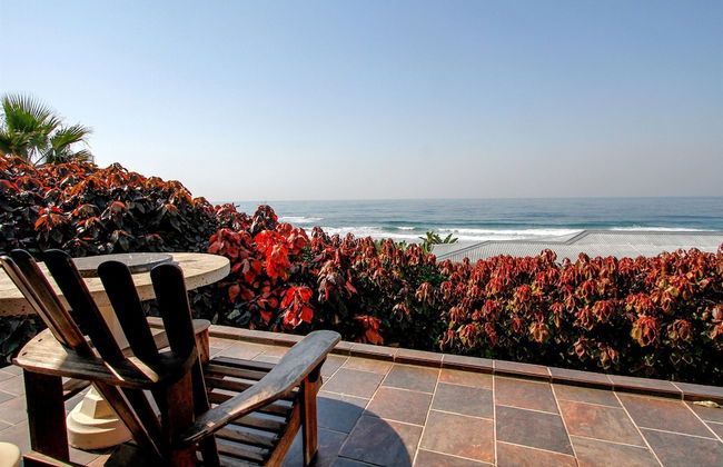 Carpe Diem - Photo 66