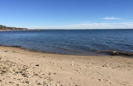 Villa Perlman - Foto 45