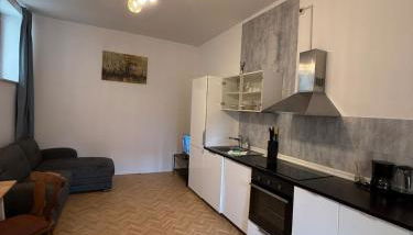 Gasthof zum goldenen Schiff - Budgetwohnung im Hotel - Foto 2